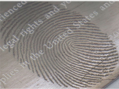 Latest company Solutions about RTEP0405-FORENSIC 高真空指纹显现设备